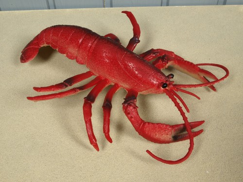 Deko hummer meerestier - deko,