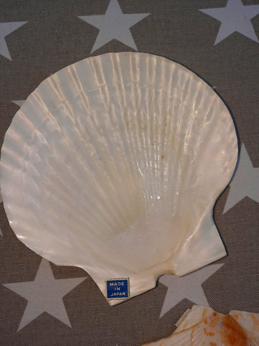 Muschelschalen deko maritim - muschelschalen,